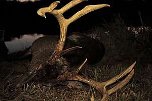 Management Advantage Screen Shot 2014 07 22 at 1110 181010 154709