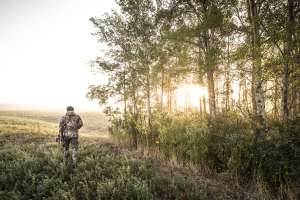 Misc Hunting 2017 14