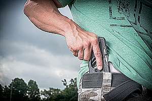 Gvo Taurus Curve 181003 155657