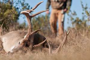 John hafner archive 21621 181203 143124