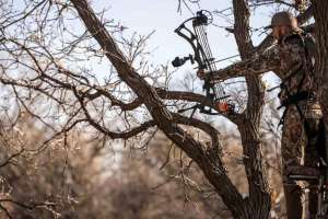 Web MAXACCURACY PIX 01