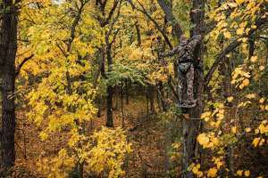 Web lead pic Stand 4