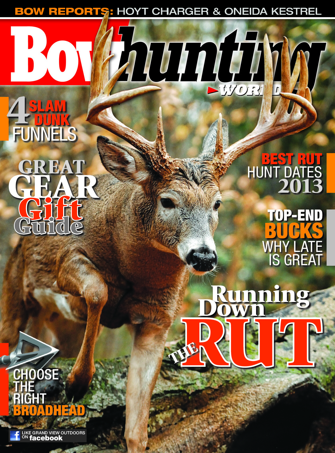 2013 11 November 2013