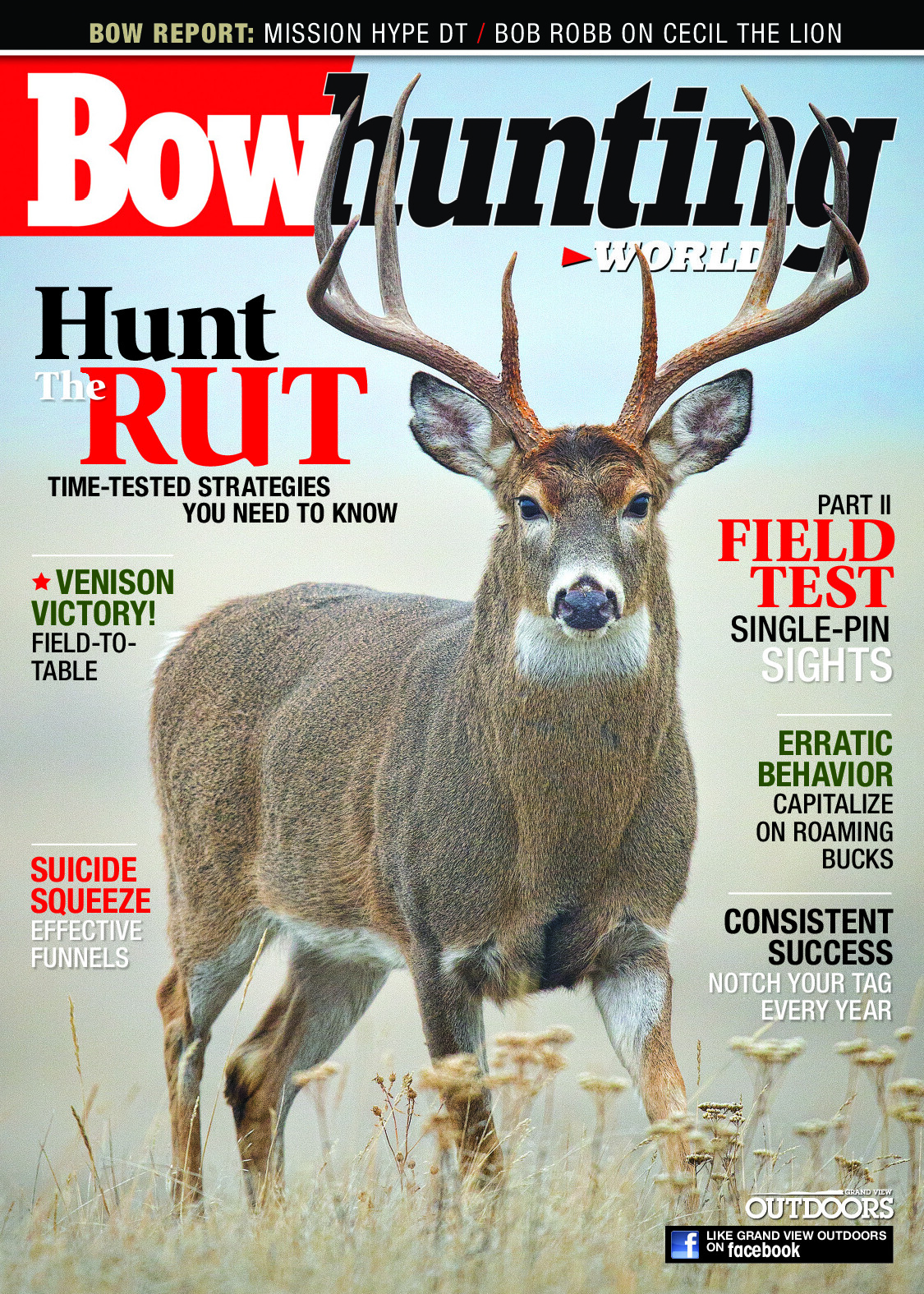 2015 11 November 2015