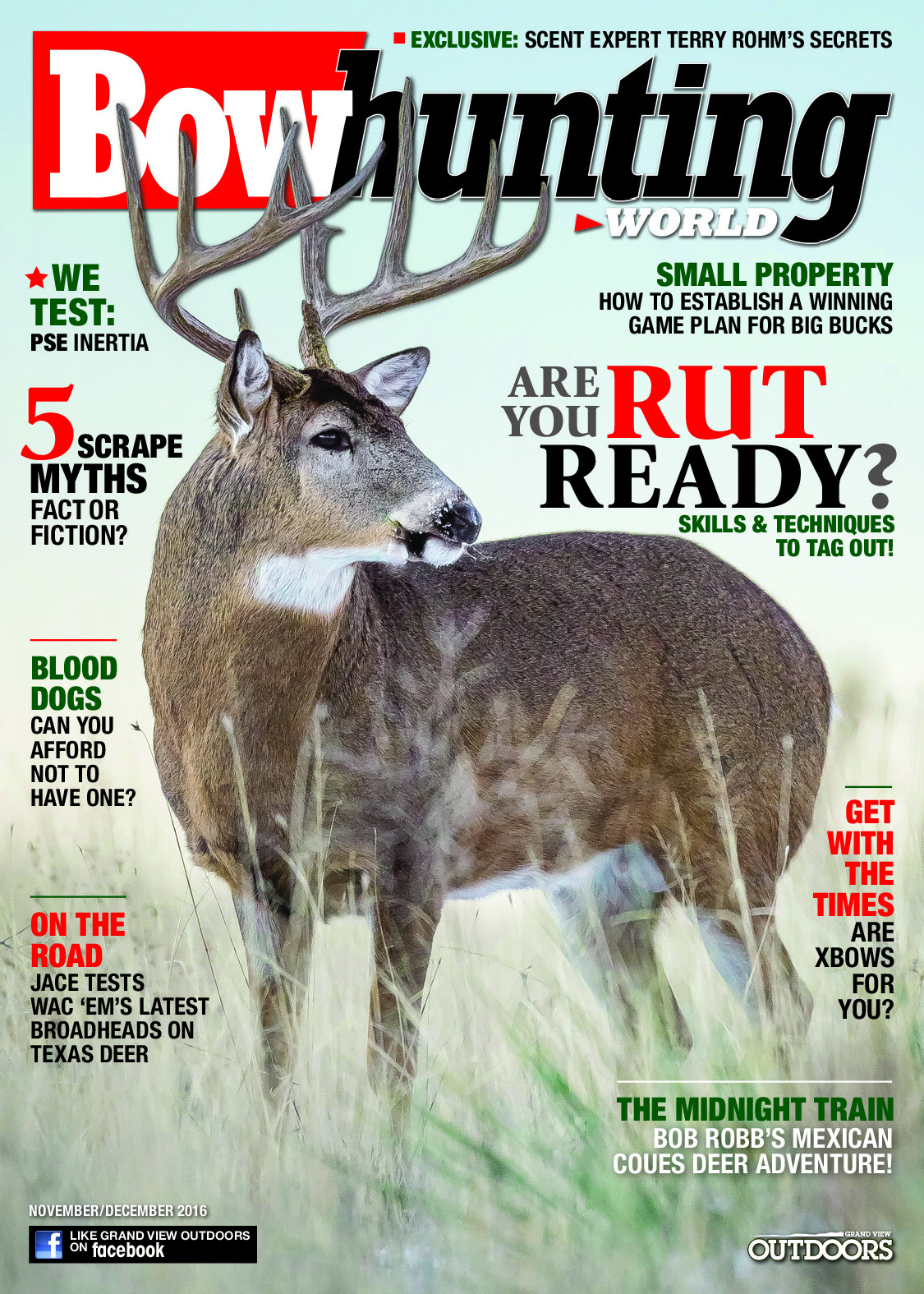 2016 11 November December 2016