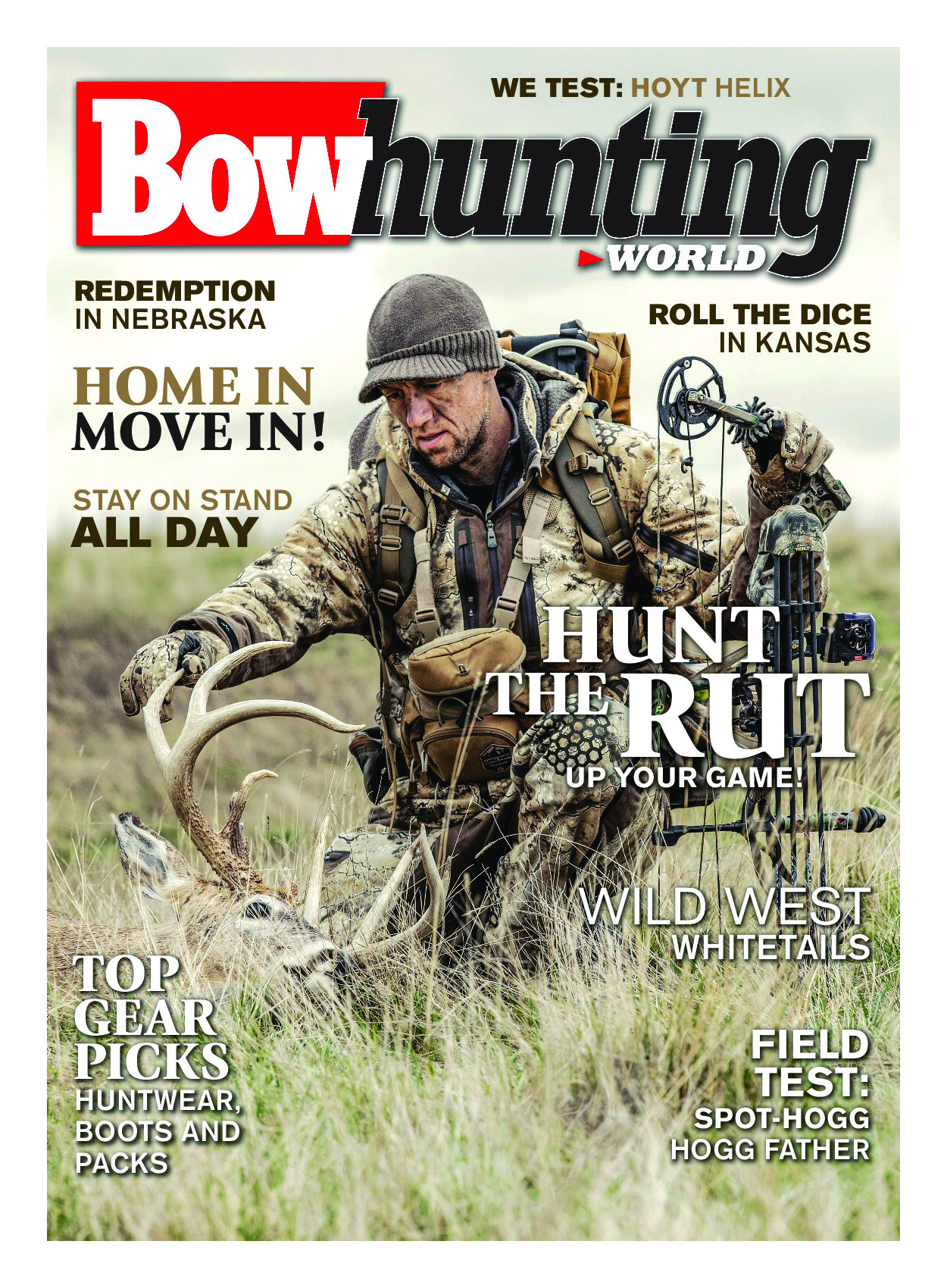 2019 11 November 2019