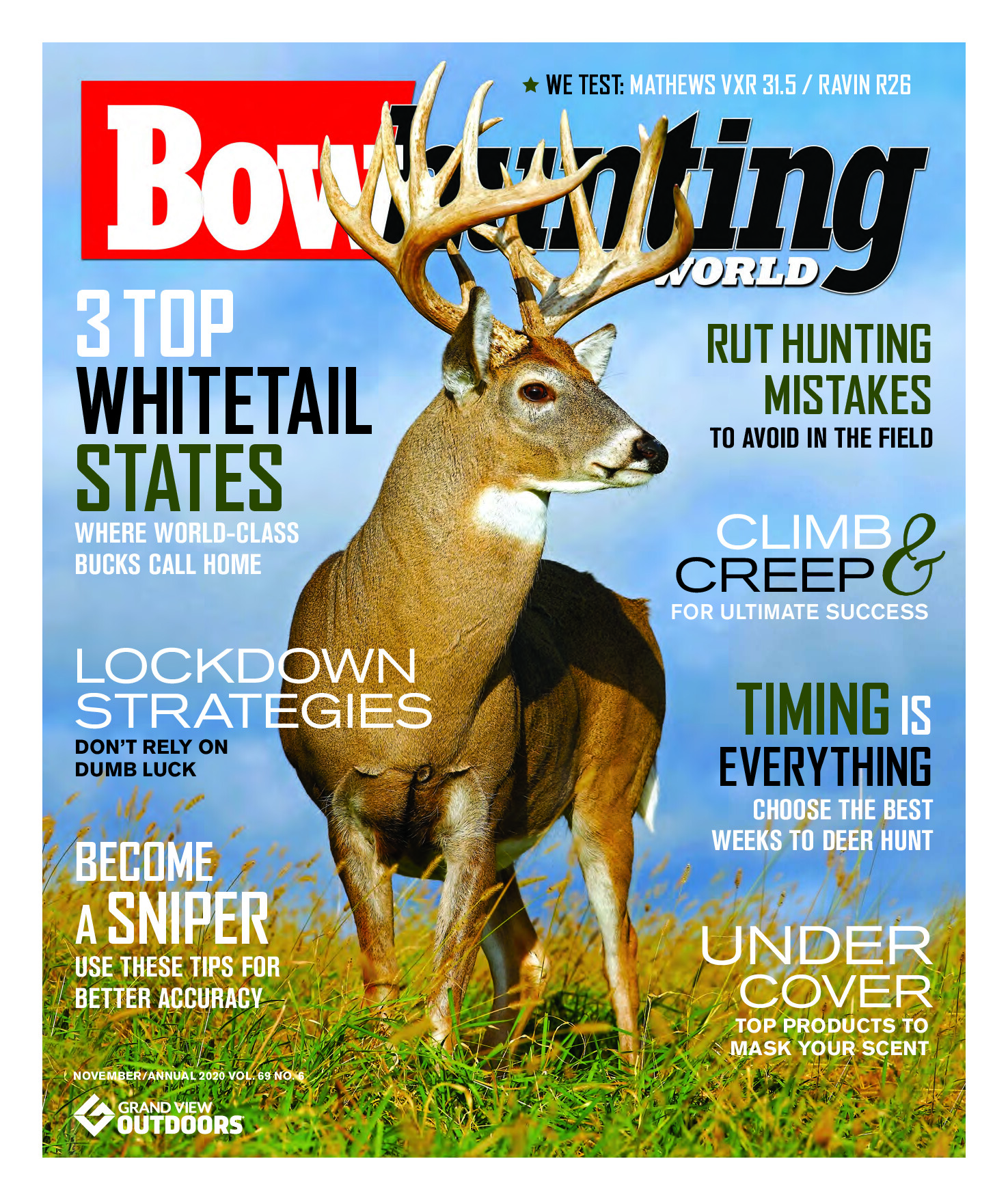 2020 11 November 2020