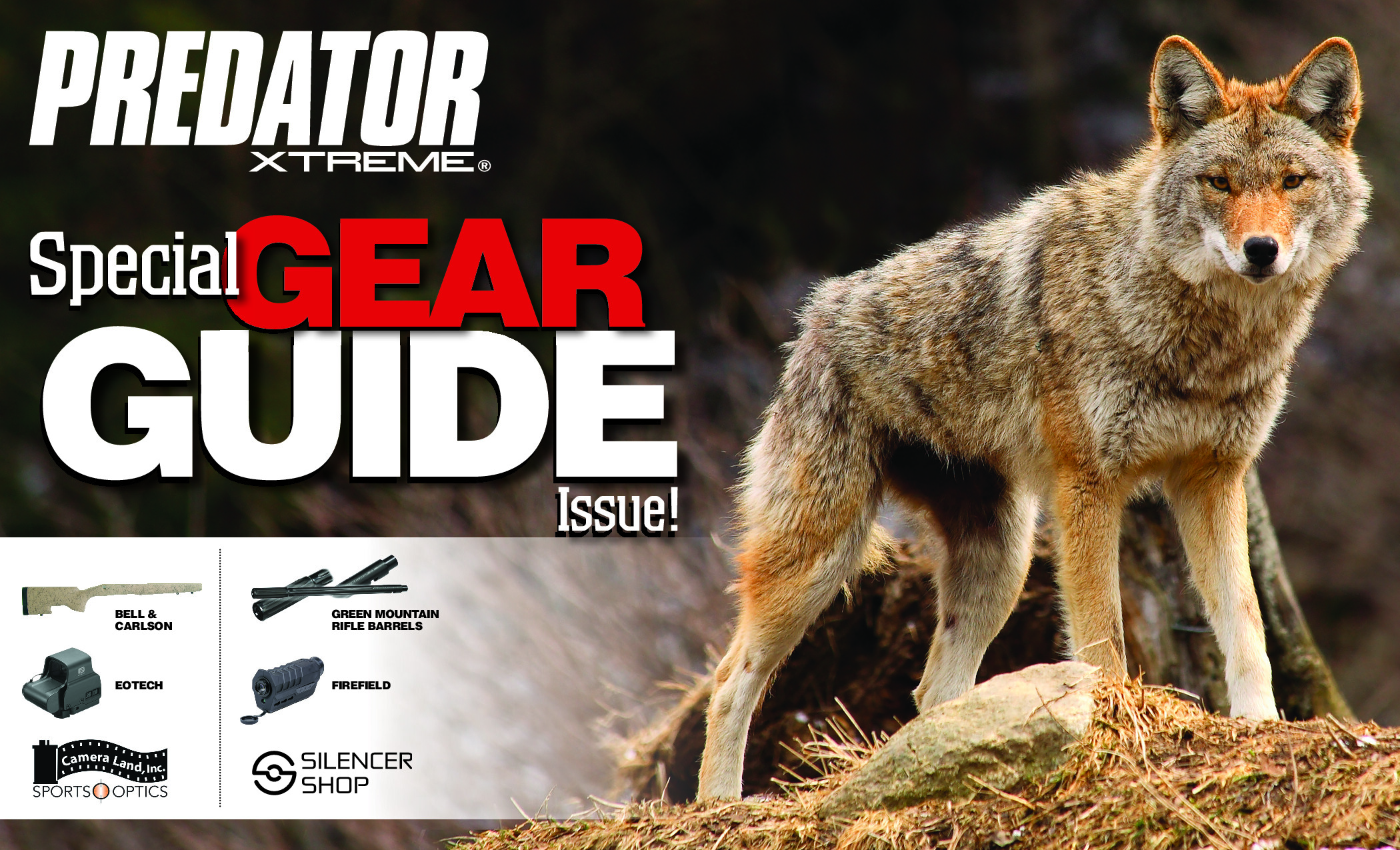 2017 01 Gear Guide 2017