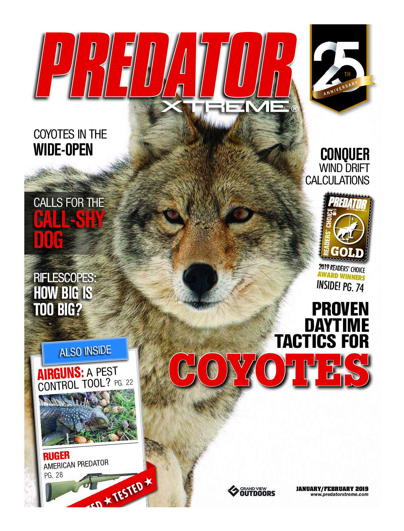 2019 02 February 2019