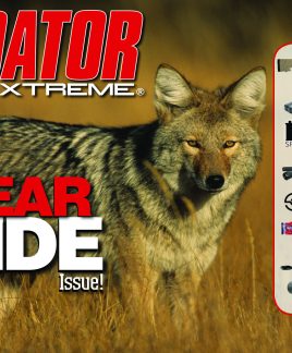 2016 02 Gear Guide 2016