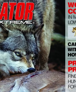 2016 09 Wolf Issue 2016