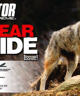 2017 01 Gear Guide 2017