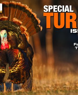 2016 11 Turkey Issue 2016