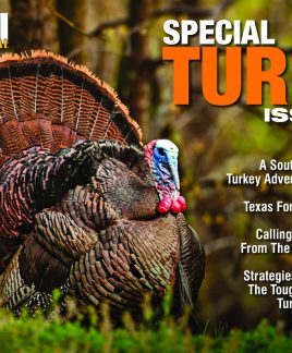 2017 11 Turkey Issue 2017