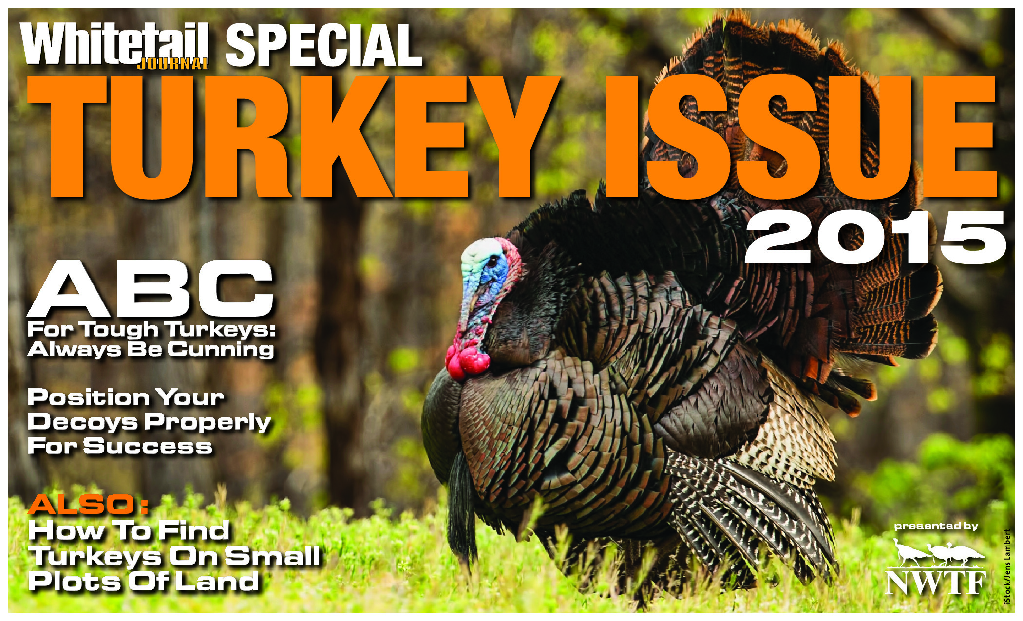 2015 10 Turkey Issue 2015