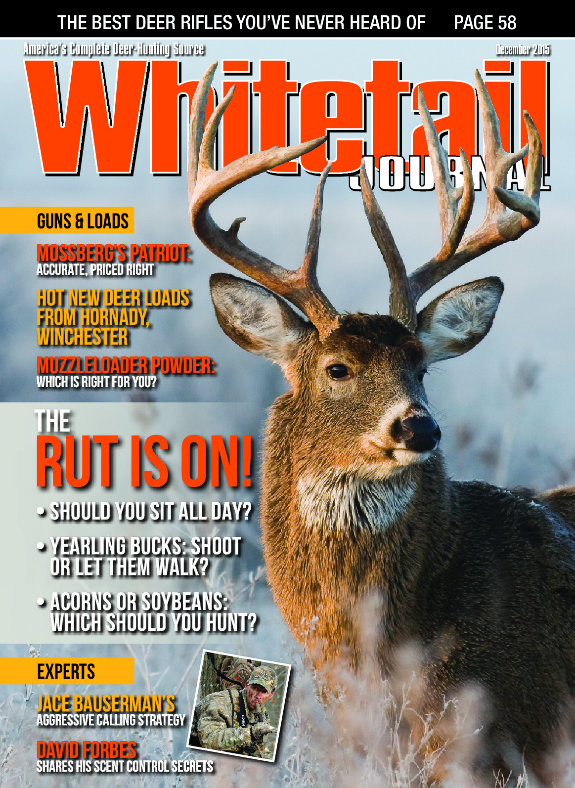 2015 11 November December 2015