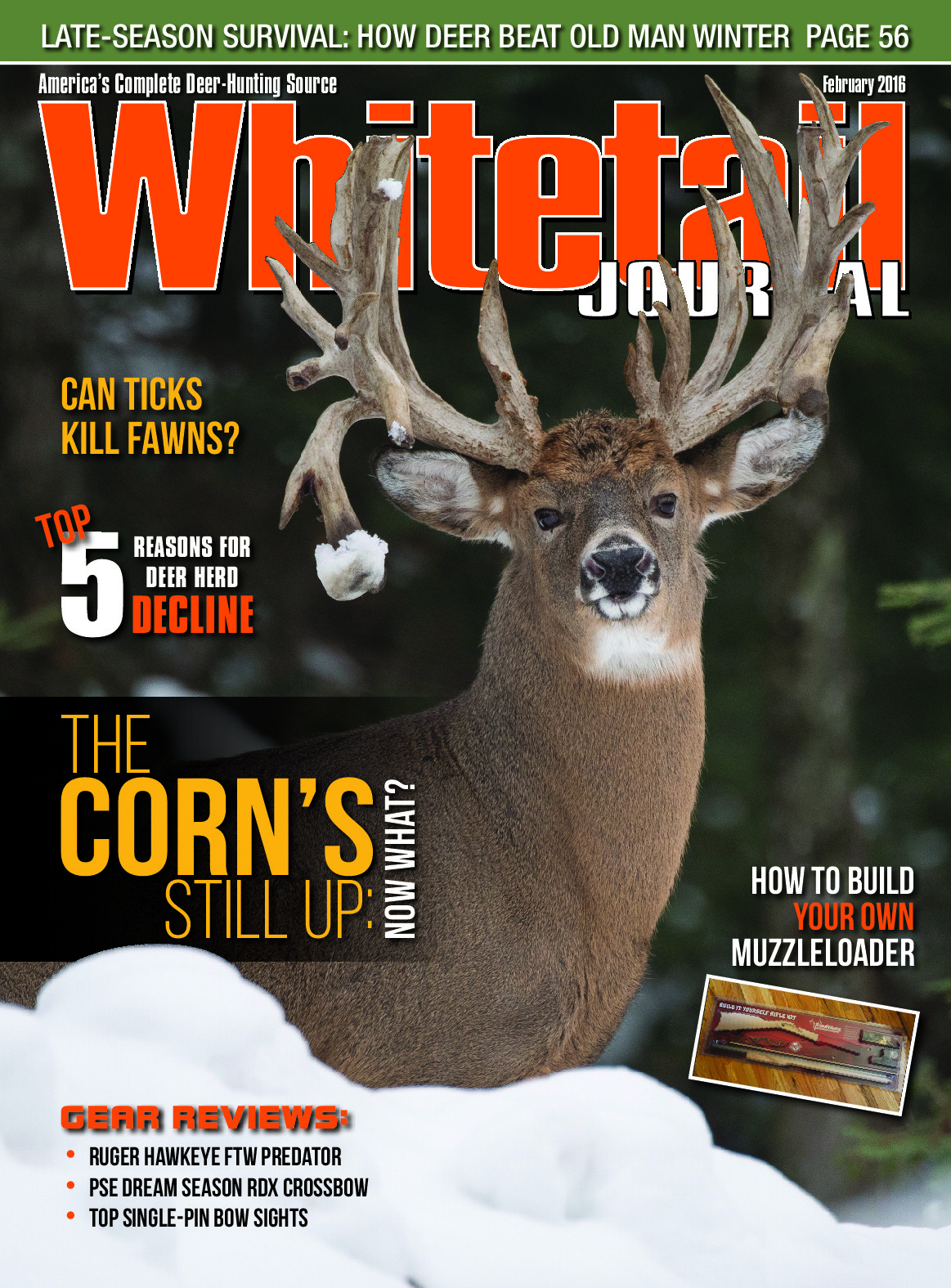 2016 01 January February 2016