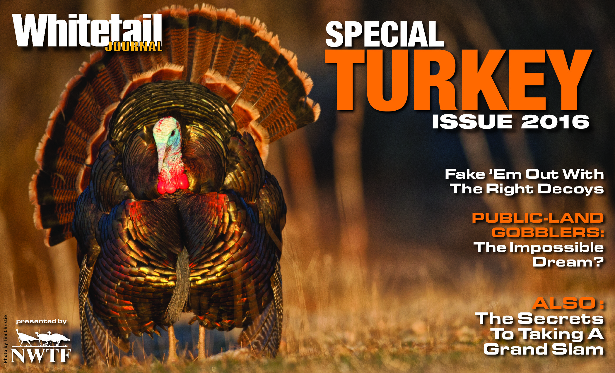 2016 11 Turkey Issue 2016