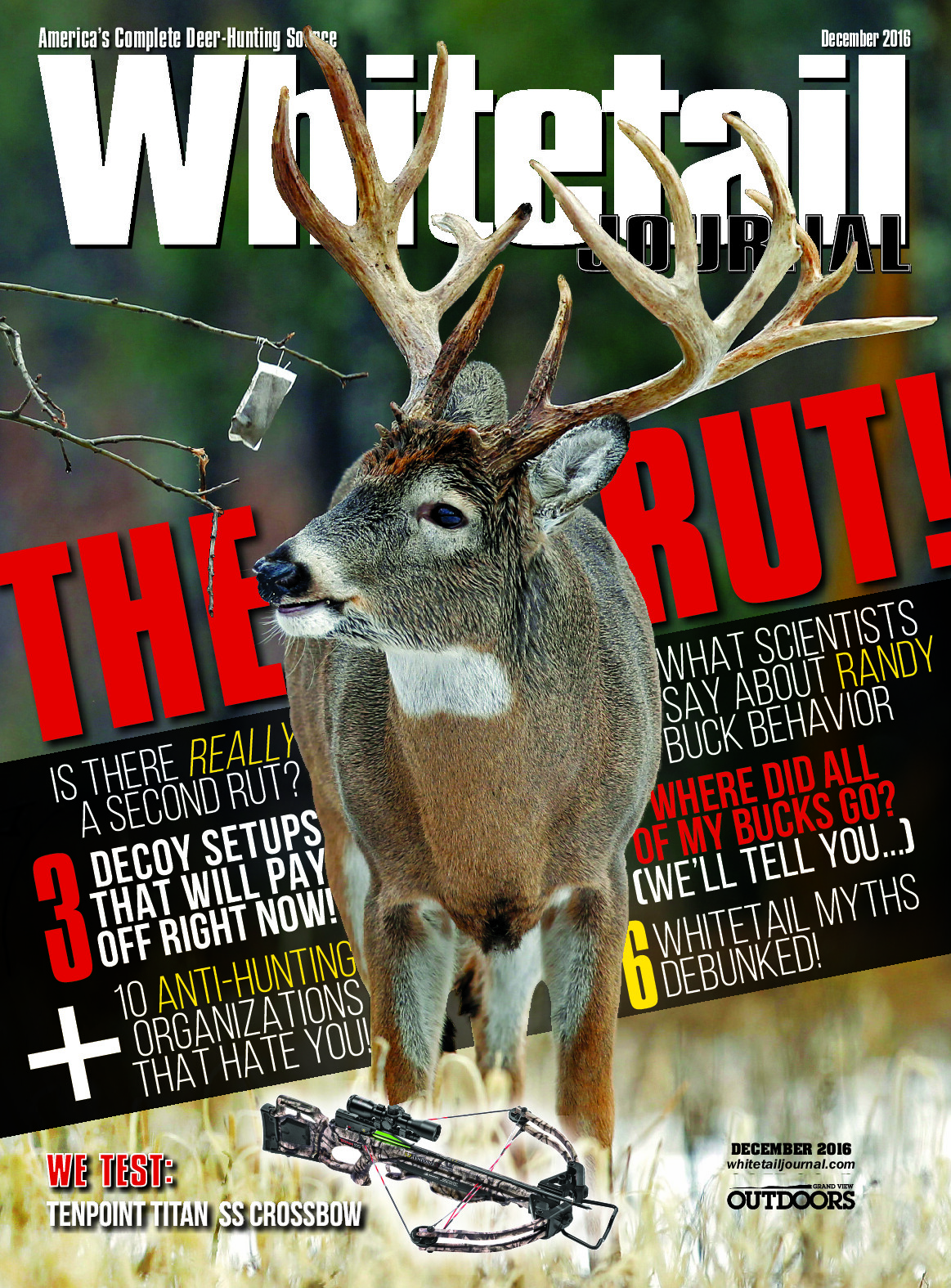 2016 12 December 2016