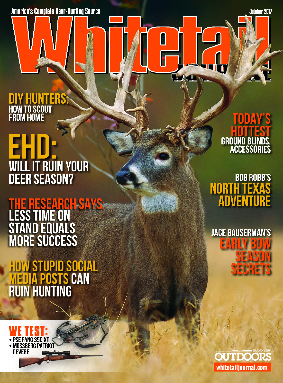 2017 10 October 2017