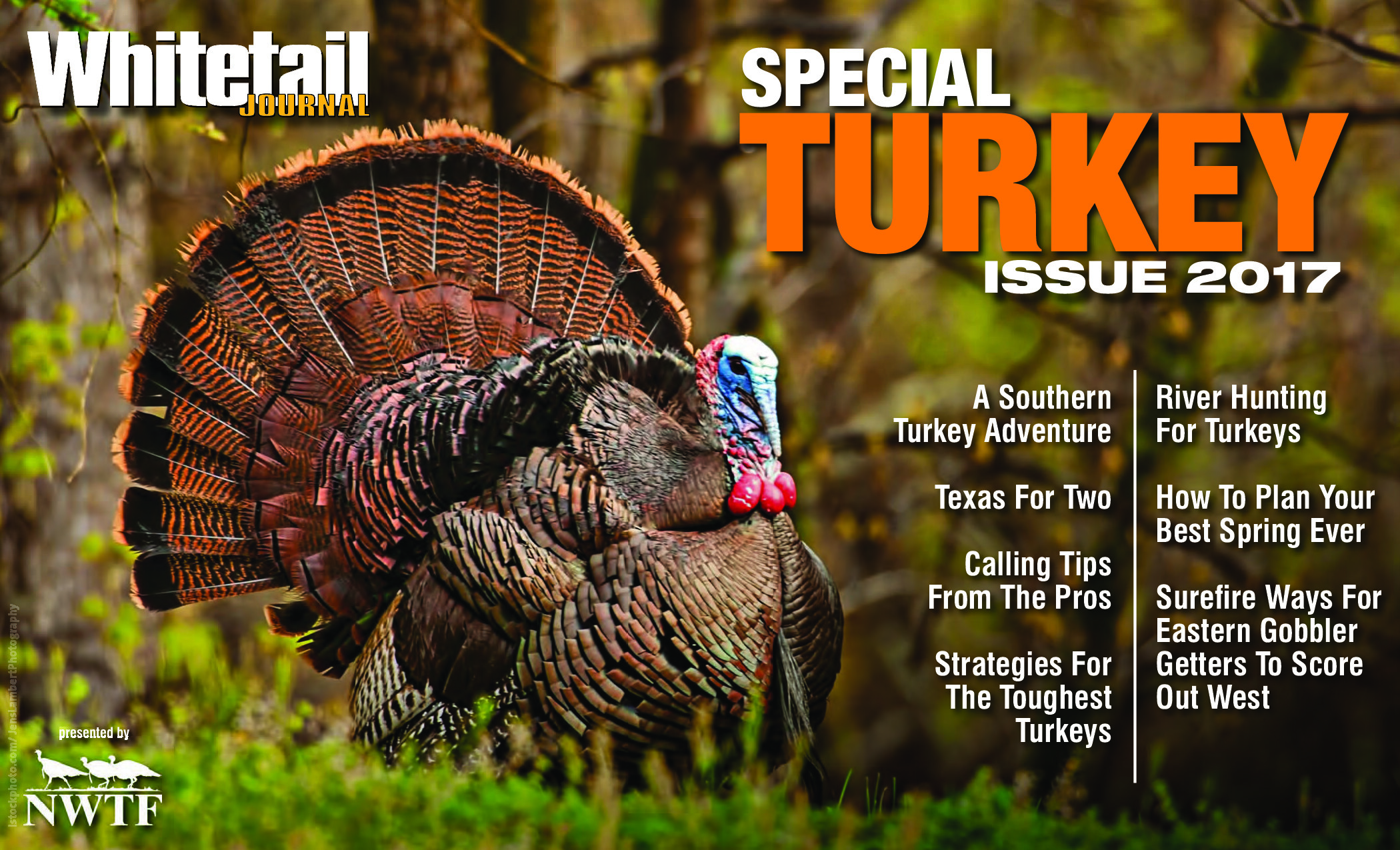 2017 11 Turkey Issue 2017