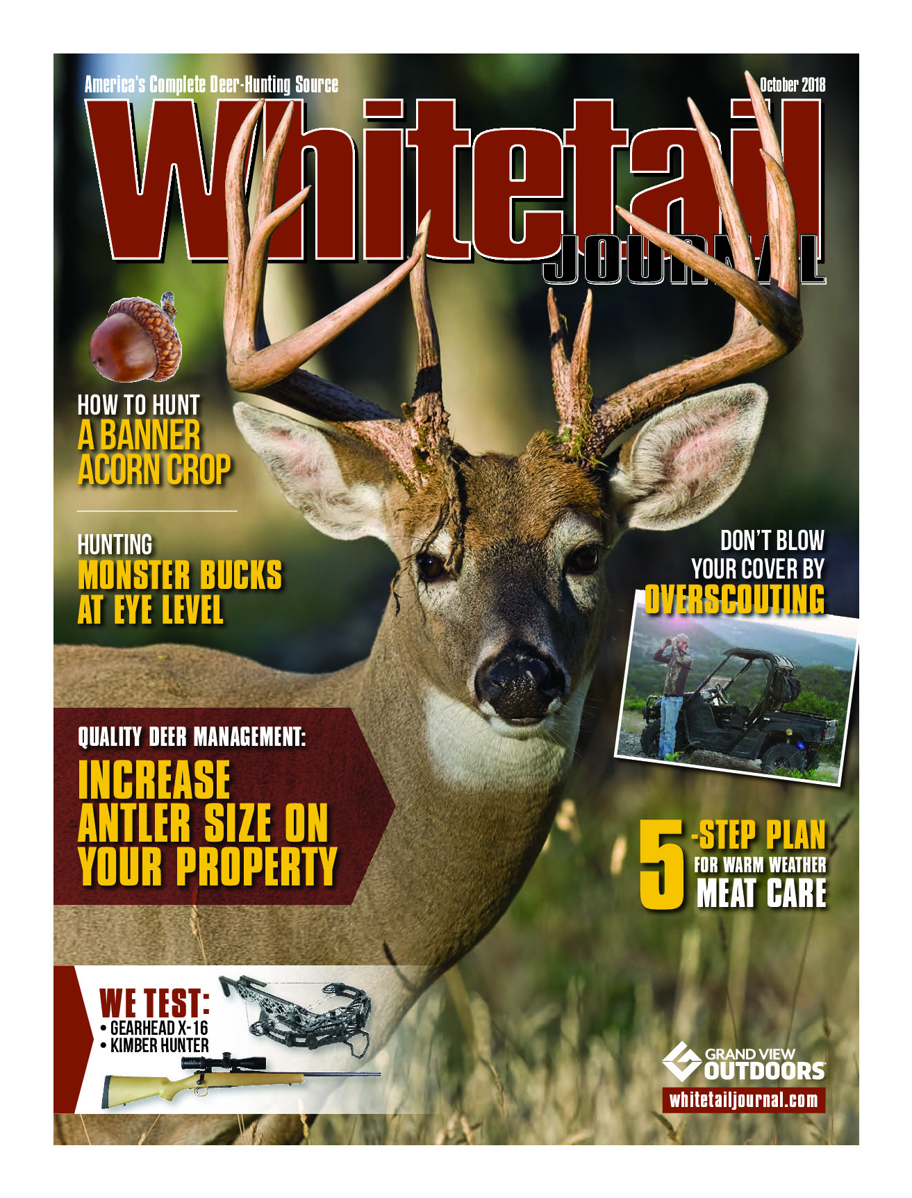 2018 10 October 2018