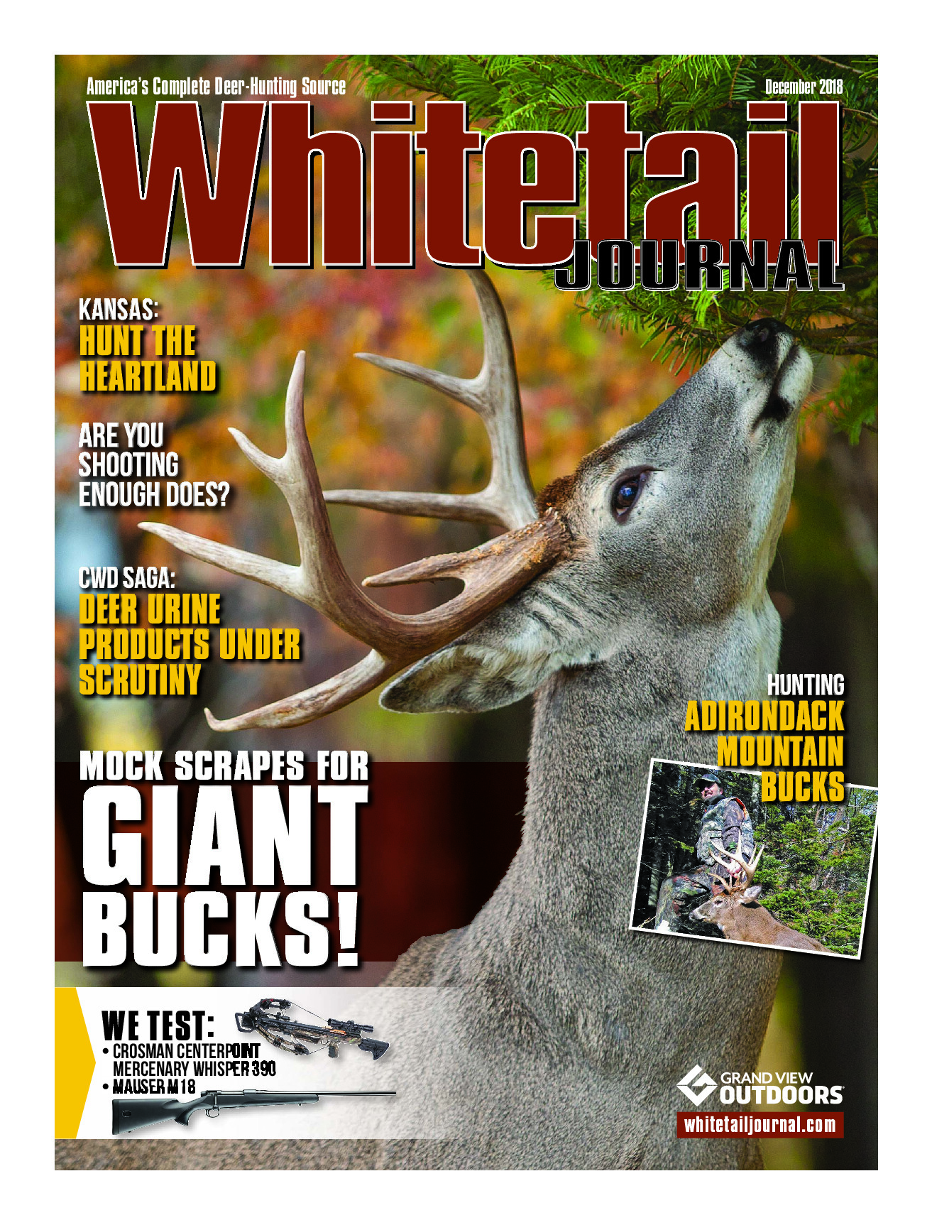 2018 12 December 2018