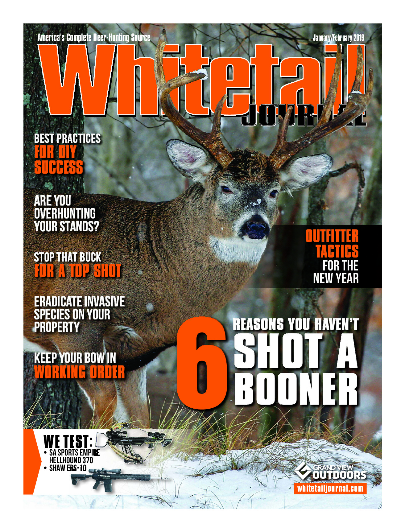 2019 02 February 2019