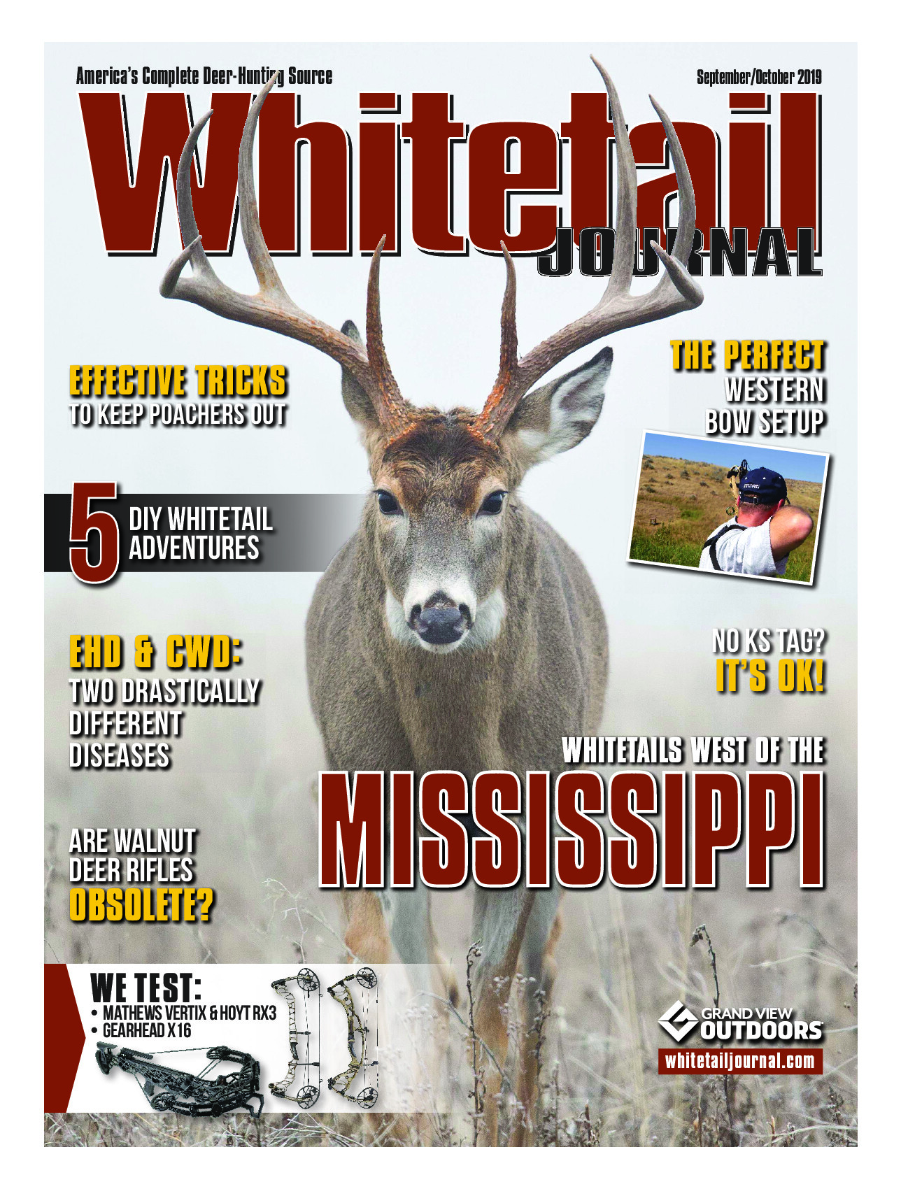 2019 10 October 2019