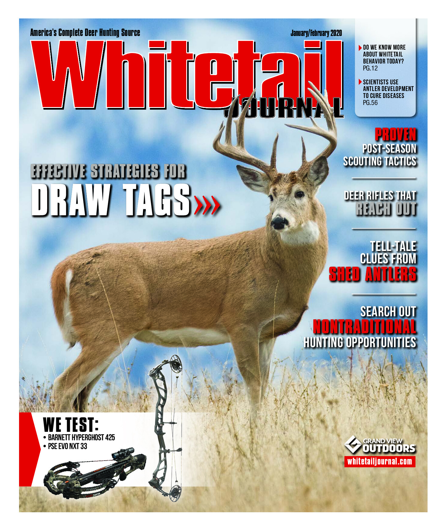 2020 02 February 2020